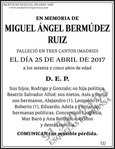 Miguel Ángel Bermúdez Ruiz